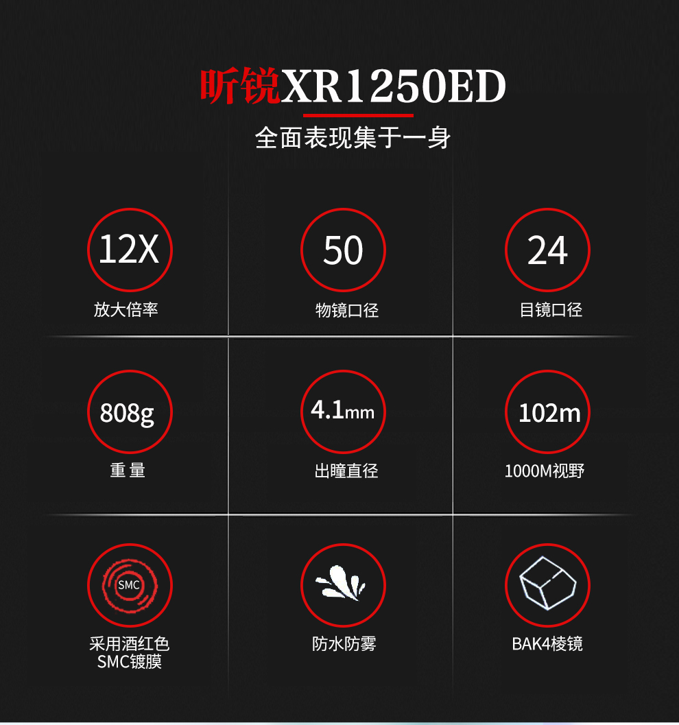 1250ED_02.jpg