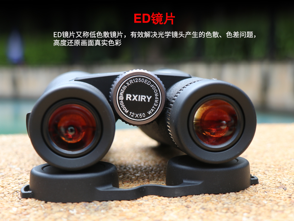 1250ED_08.jpg